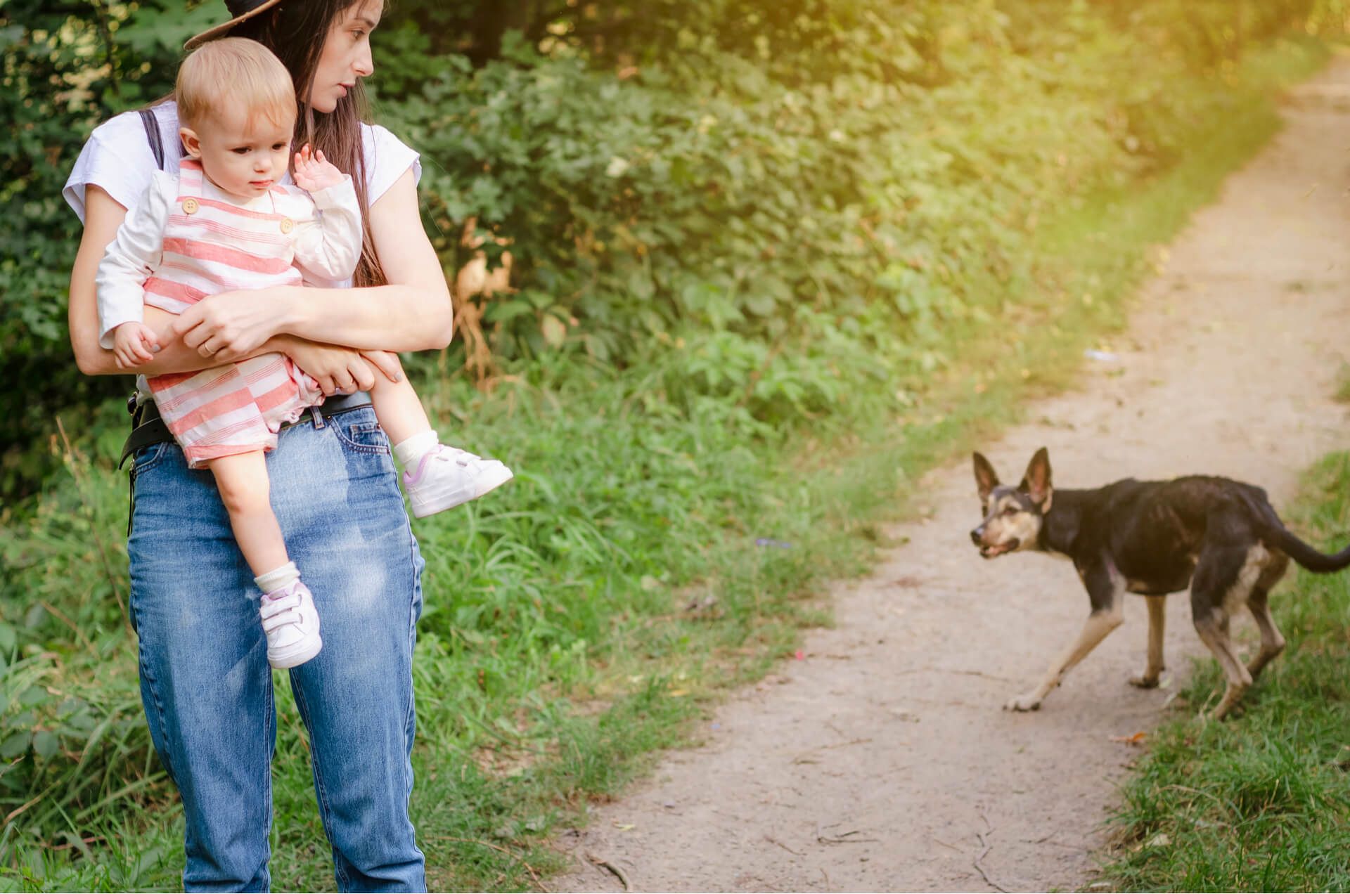 Protect Your Child From Dog Bites