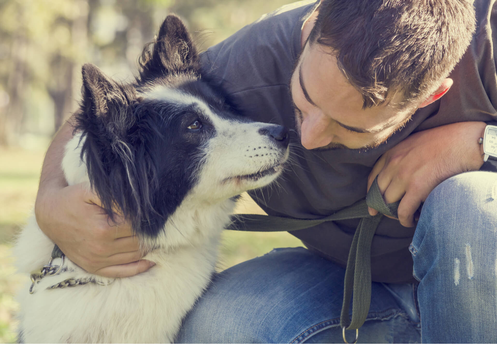 Socializing Your Pets to Reduce Dog Bite Lawsuits in Dallas
