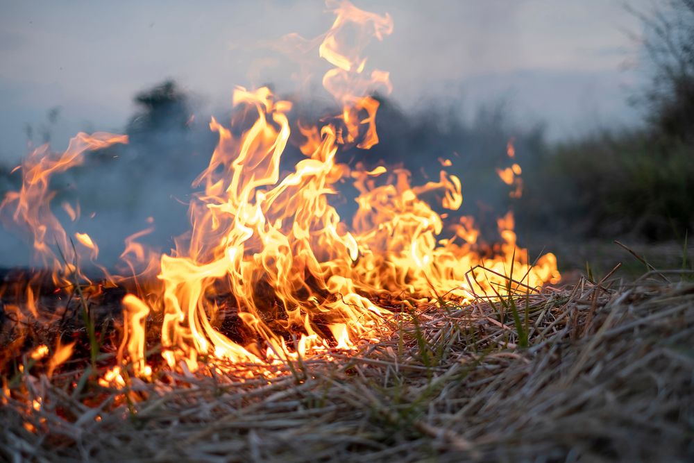 Truck accident causes grass fire in Texas