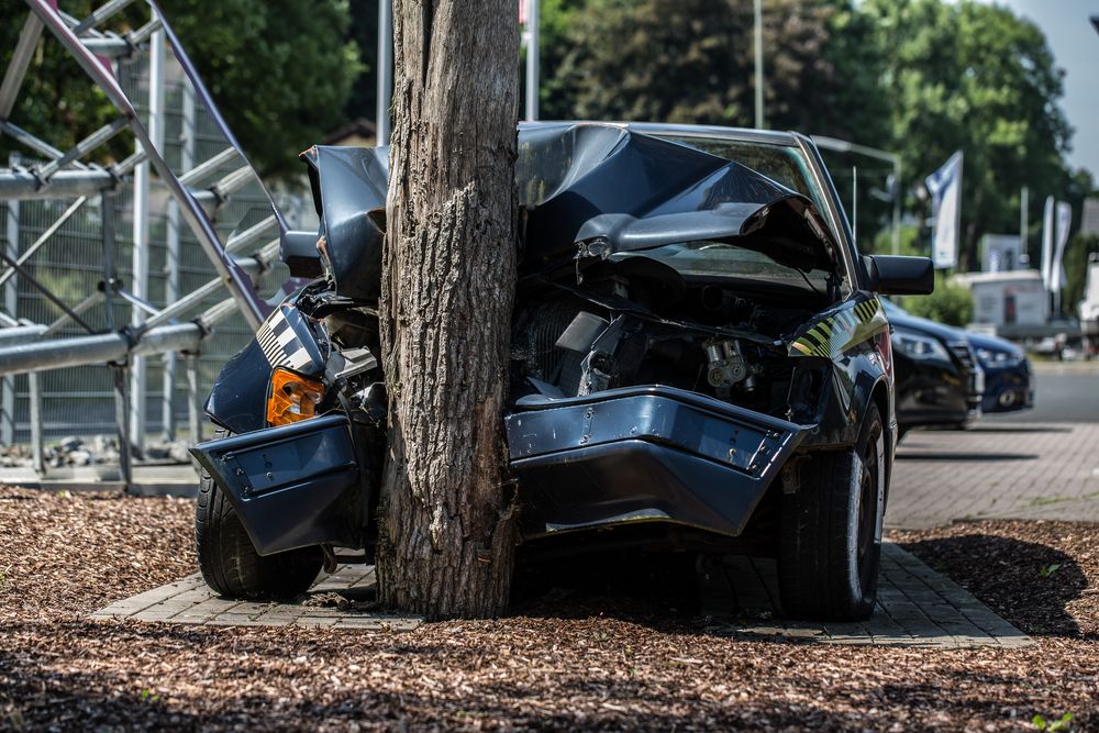 Car-Crashes-Into-Tree
